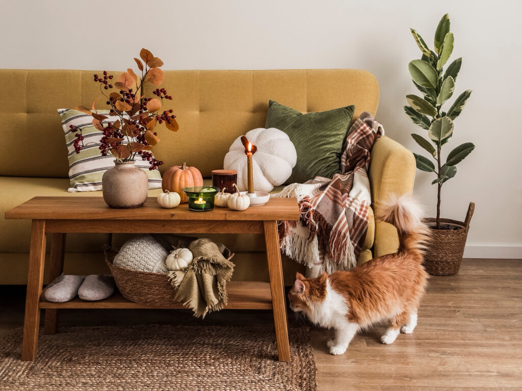 pet friendly flooring | Nemeth Family Interiors